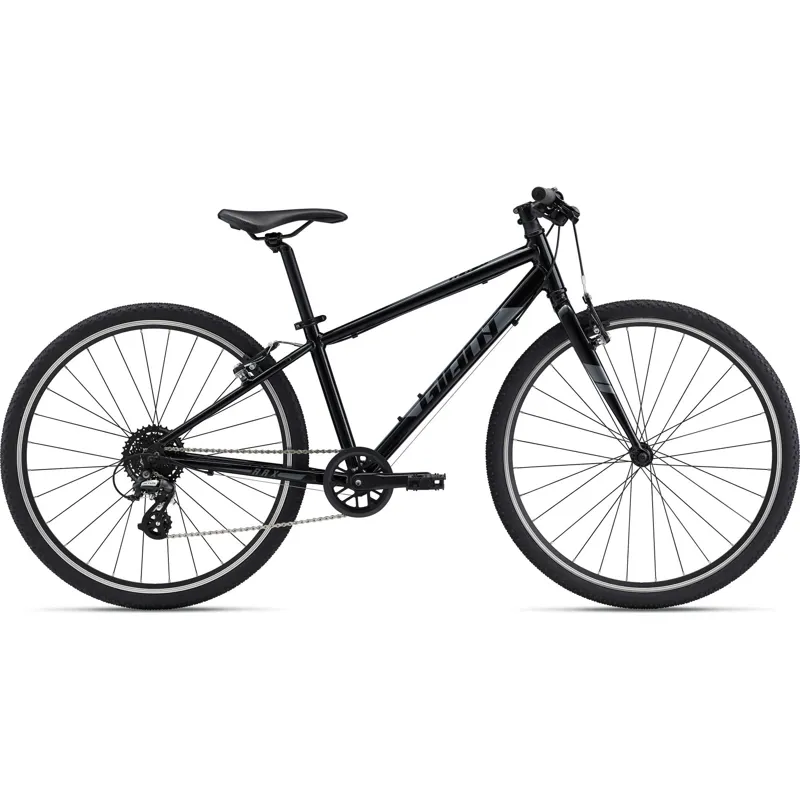 Giant 26 bike hotsell