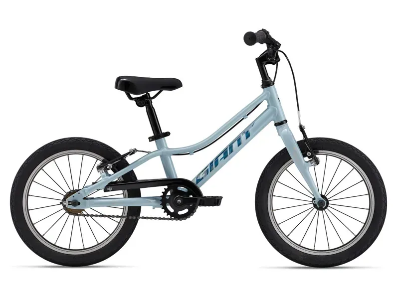 Giant ARX 16 F/W Kids Bike In Soap Suds