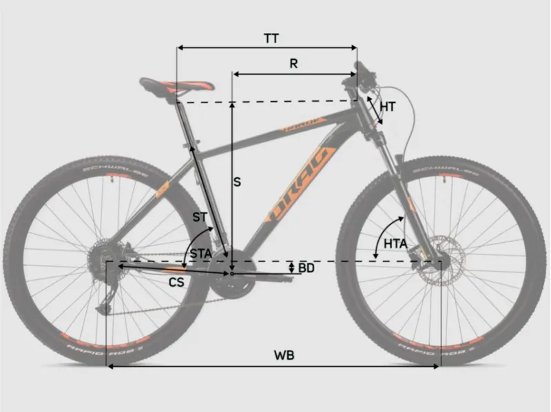 Mtb alivio 2025