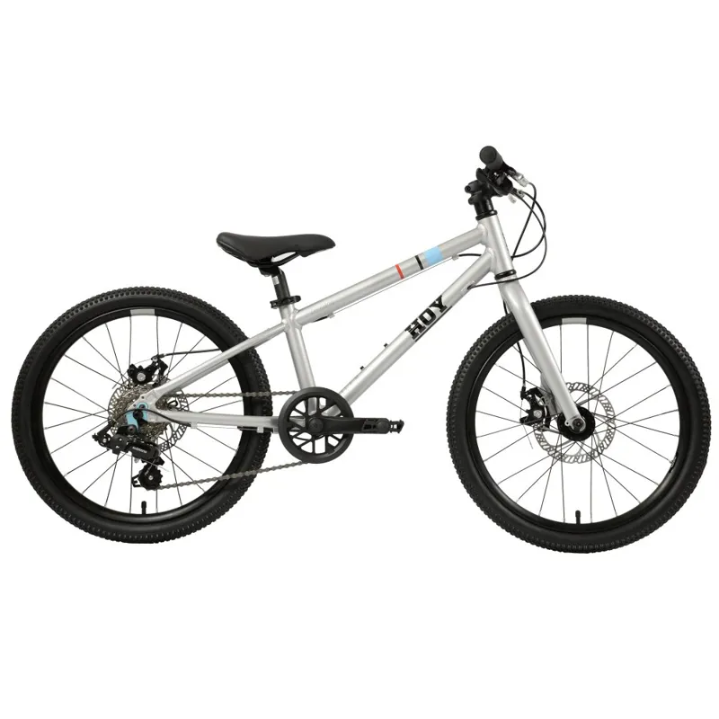 Hoy Pentland 20 Inch Super-light Alloy Disc Brake Kids Bike Titanium Silver