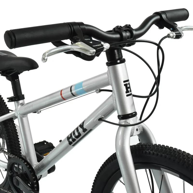 Hoy Pentland 20 Inch Super-light Alloy Disc Brake Kids Bike Titanium Silver-11