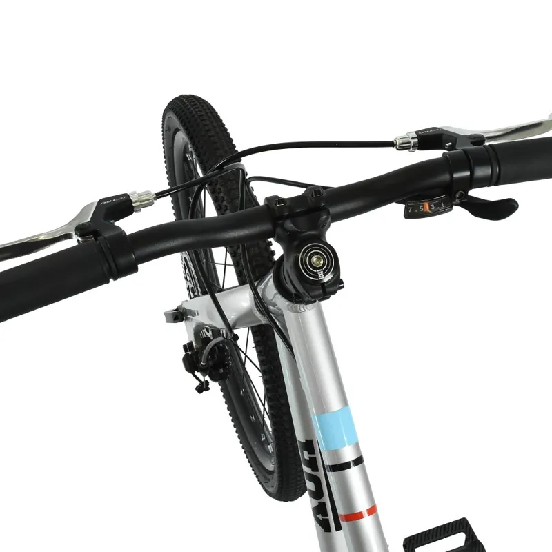 Hoy Pentland 20 Inch Super-light Alloy Disc Brake Kids Bike Titanium Silver-10