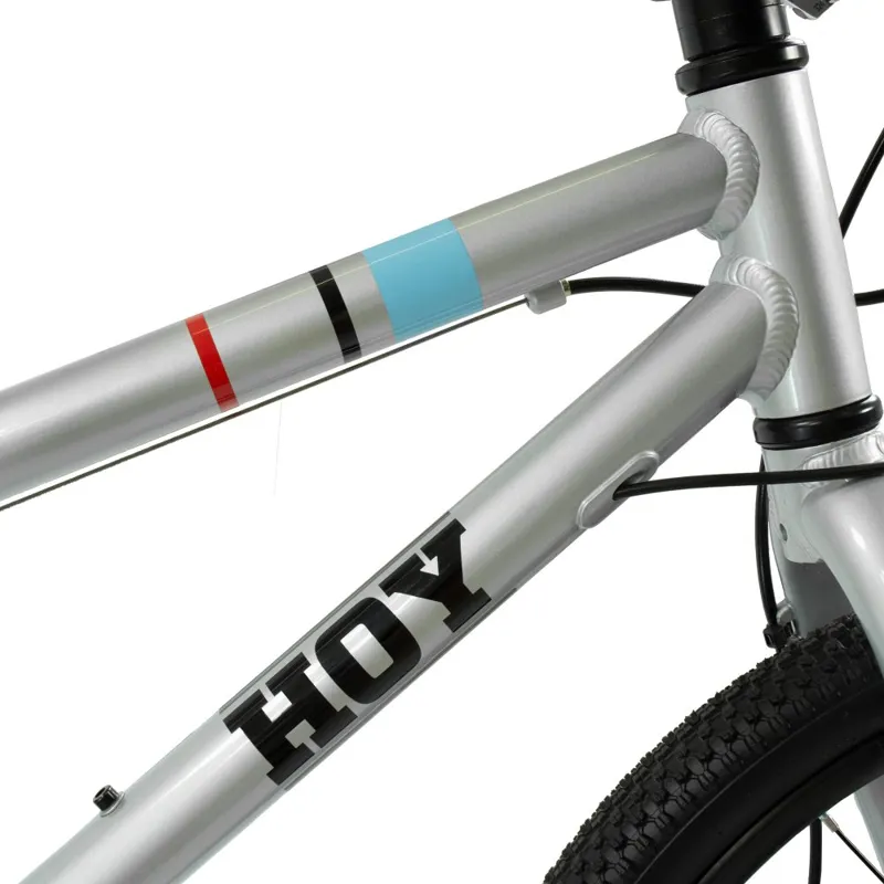 Hoy Pentland 20 Inch Super-light Alloy Disc Brake Kids Bike Titanium Silver-9