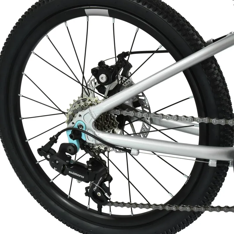 Hoy Pentland 20 Inch Super-light Alloy Disc Brake Kids Bike Titanium Silver-7